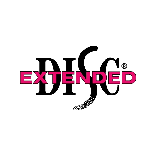 Extended DISC – raport Twojego potencjału i talentu